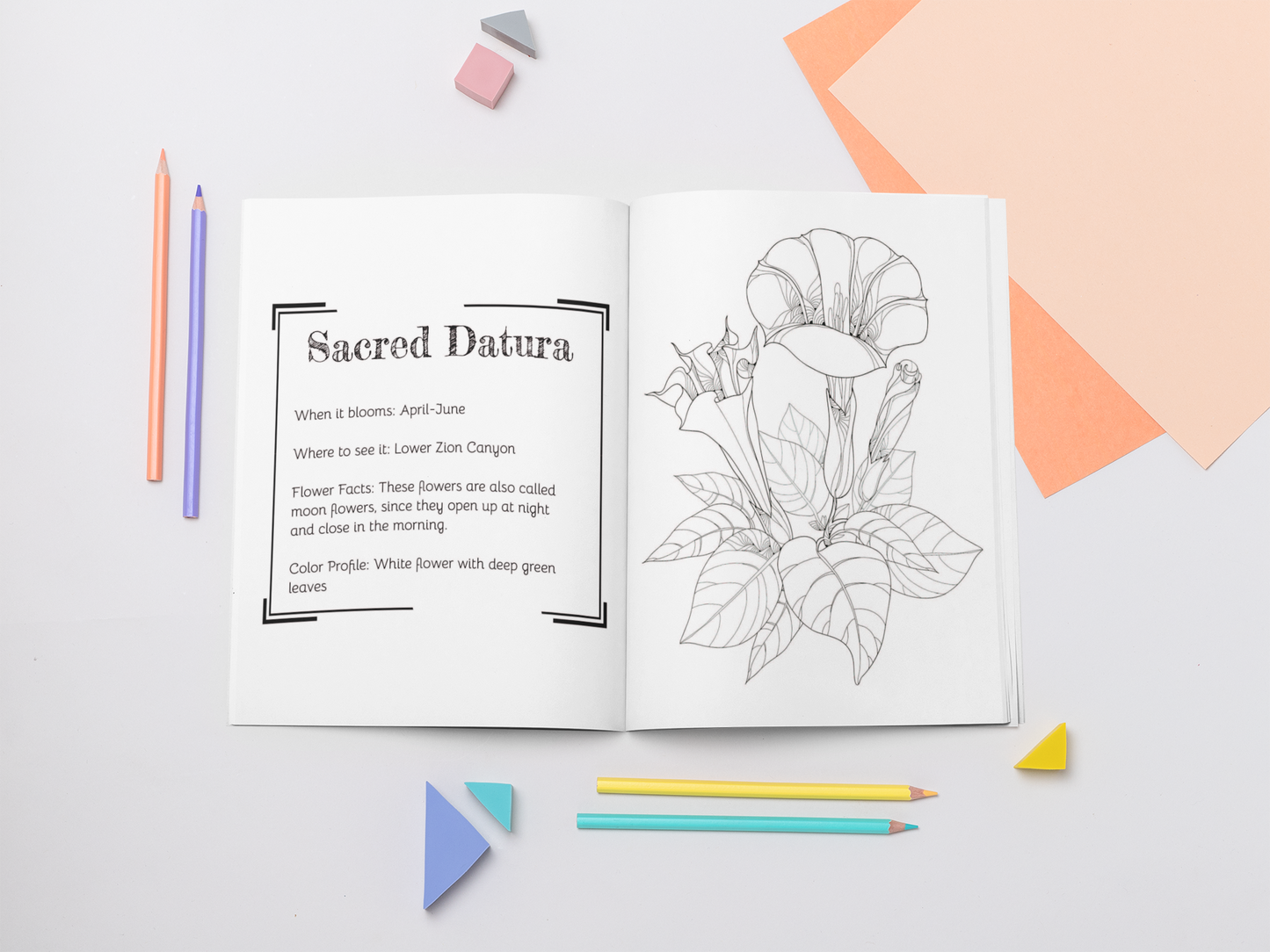 Wildflowers of Zion Coloring Book!