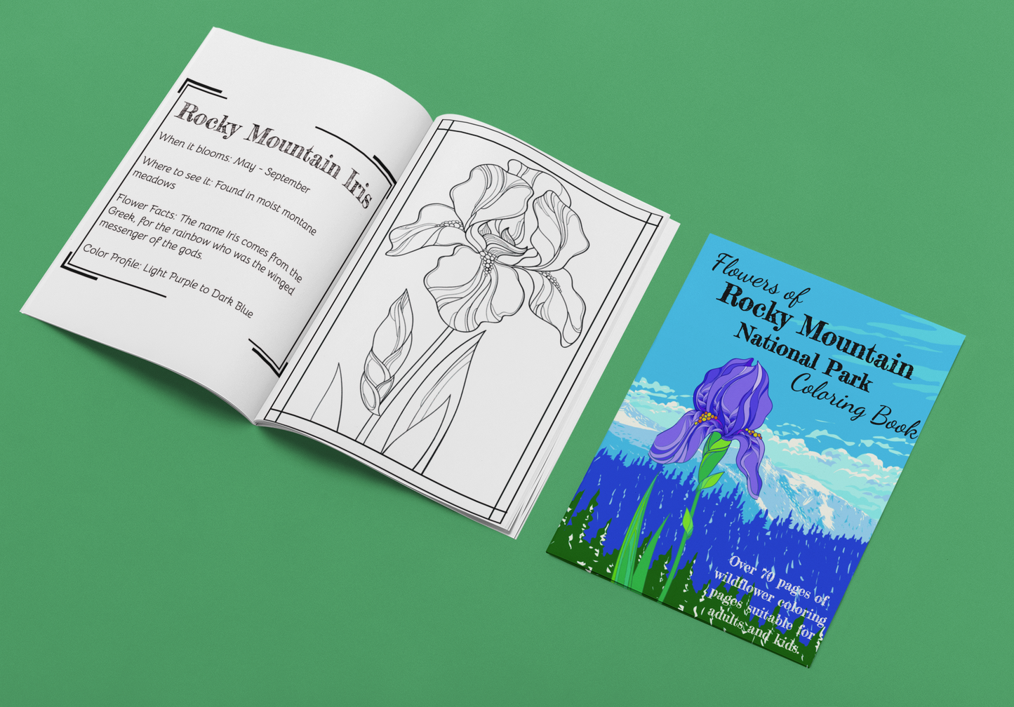 Wildflowers of Rocky Mountain Coloring Book!