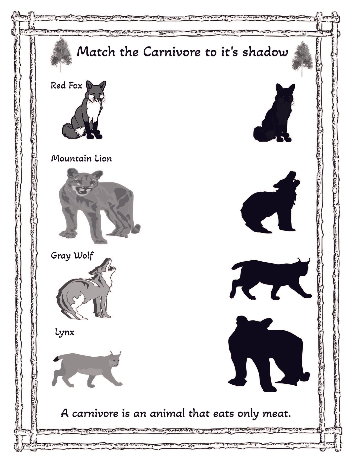 Rocky Mountain National Park Activity Book for Kids