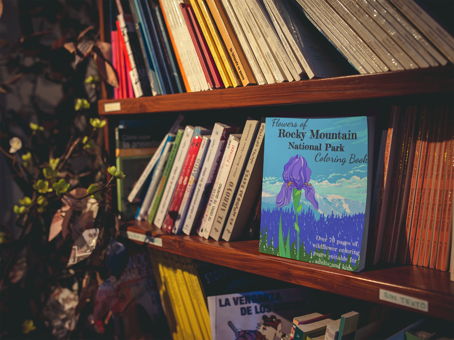 Wildflowers of Rocky Mountain Coloring Book!